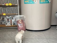 -瑞鹏宠物医院·骨科·猫科·内科(第一中心)