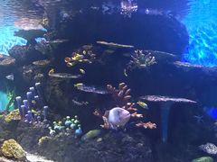 -华夏文旅海洋公园