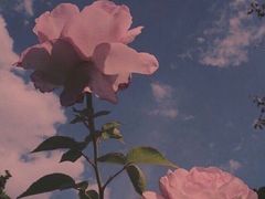 -老兵麻辣烫(世欧王庄店)