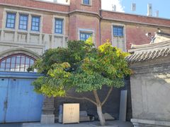 -张学良旧居陈列馆
