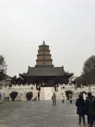 -西安市儿童医院门诊