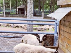 -长白岛森林公园