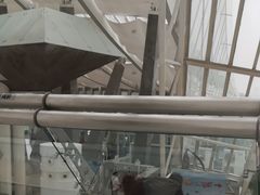 -天津自然博物馆