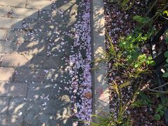 -永乐路-路侧停车场