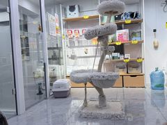 -爱洗澡的猫(天河路店)