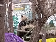 -西霞口神雕山野生动物世界