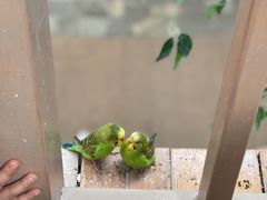 -南宫五洲植物乐园