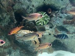 -苏州海洋馆