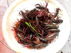 -同銮特种养殖场·龙虾垂钓