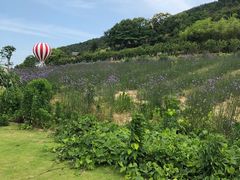 -东海半边山旅游度假区