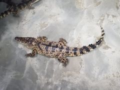-乌鲁木齐海洋馆