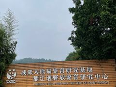 -都江堰中华大熊猫苑
