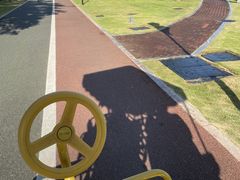 -野狸岛