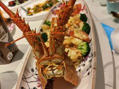 小青龙-蝶园·装修中(BFC外滩金融中心店)