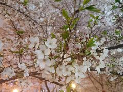 -栖露营camping·天幕烧烤·团建拓展·采摘营地