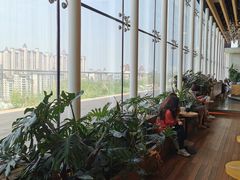 -Seesaw Coffee(朝阳大悦城店)