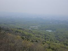 -紫金山山顶公园
