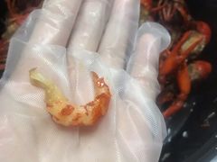 -龙巢盱眙龙虾·牛蛙·烧烤宵夜(八卦岭店)