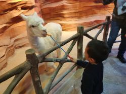 -酷嗒动物文化乐园(cutezoo西溪乐天城店)