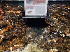 -盒马鲜生(皇庭广场店)