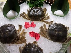 -海底捞火锅(泉城路店)