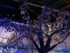 -绿茶餐厅(朝阳大悦城店)