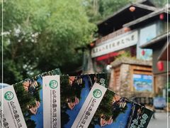 -观澜山水田园