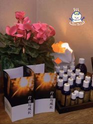 -芳香乐府疗愈空间·SPA·冥想