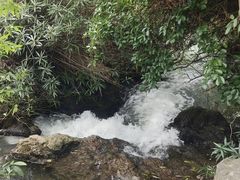 -贵阳市花溪国家城市湿地公园