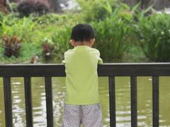 -枫香湖儿童公园