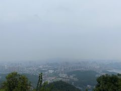 -MAMACHA妈妈茶(岳麓山店)