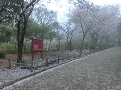 -汉拿树木园