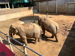 -西霞口神雕山野生动物世界
