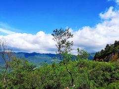 -武陵山森林公园