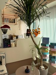 -海菲秀·飞顿牛奶光·LDM官方授权中心美轮美浣瓷感美肌