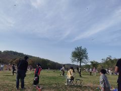 -羊山湖公园
