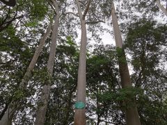 -白云山风景名胜区