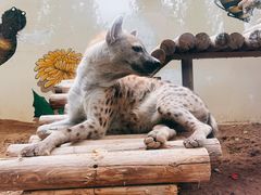 -北京野生动物园