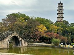 -江心屿景区
