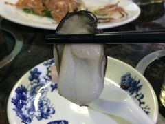 -蚝专家