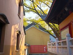-灵谷景区