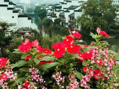 -南京夫子庙国际青年旅舍(平江府路店)