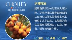 -东方美美容SPA会所