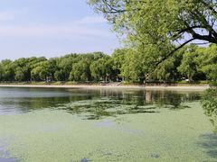 -长春市南湖公园