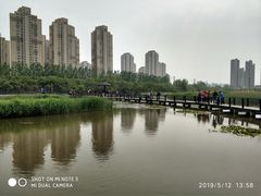 -前关湿地公园