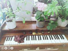 -懒鱼时光馆(沙坪坝店)