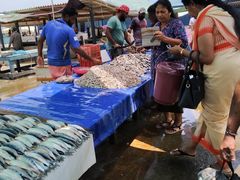 -尼甘布海鲜市场