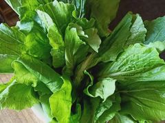 -小龙坎老火锅(北京三里屯店)