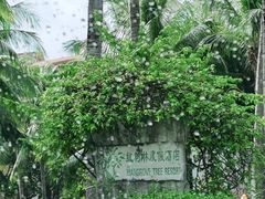 -三亚亚龙湾红树林度假酒店