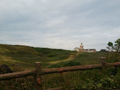 -涉地可支